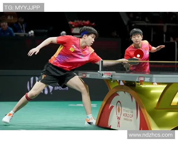 成都排球队在世界杯预选赛中的团队协作展现出色表现与潜力分析