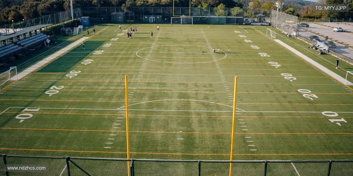 📱 指尖轻点，全球赛事实时掌控！🎥